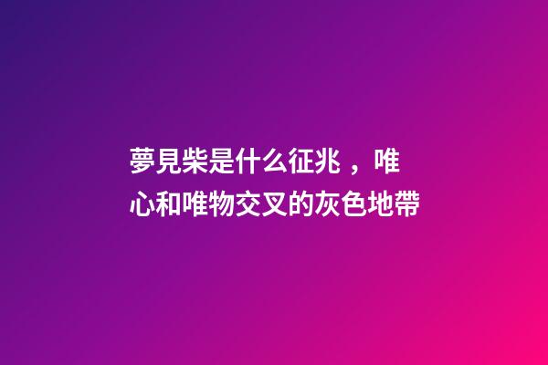 夢見柴是什么征兆，唯心和唯物交叉的灰色地帶-第1張-觀點-玄機派